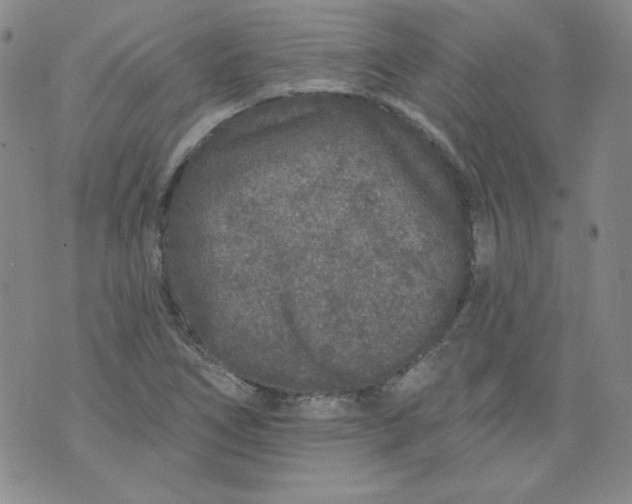 X0000074281266200609151843