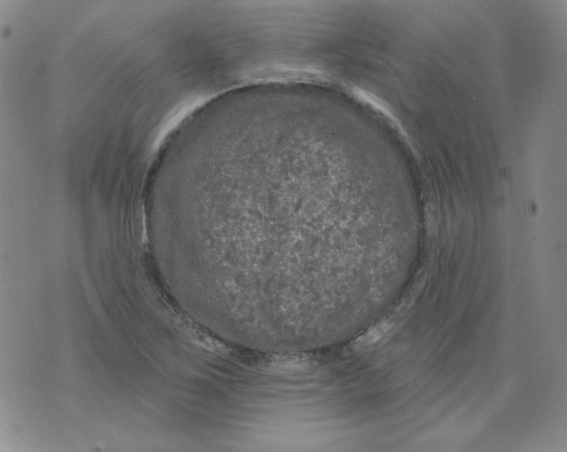 X0000074281267200609151843