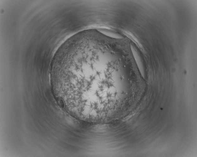 X0000074281268200609151843