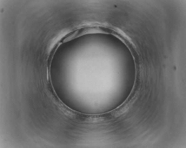 X0000074281269200609151843