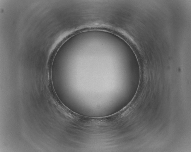 X0000074281270200609151843