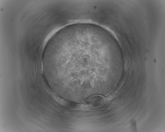 X0000074281271200609151843