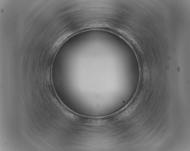 X0000074281273200609151843