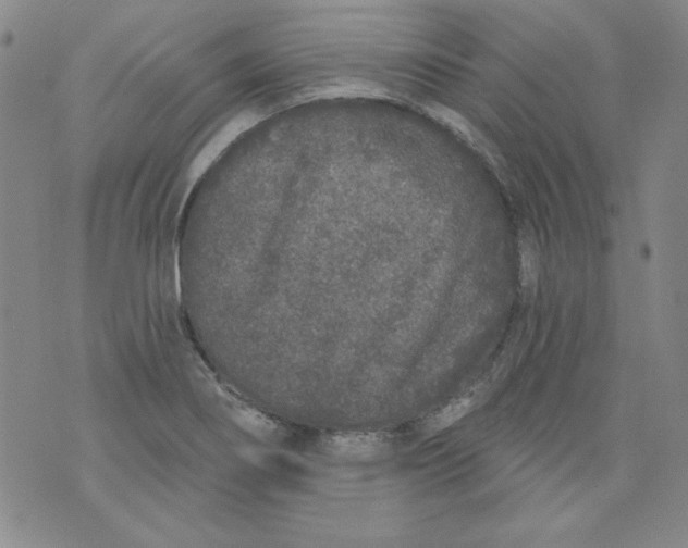 X0000074281274200609151843