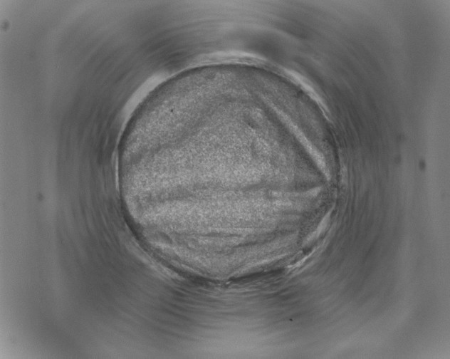 X0000074281275200609151843