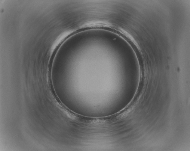 X0000074281277200609151843