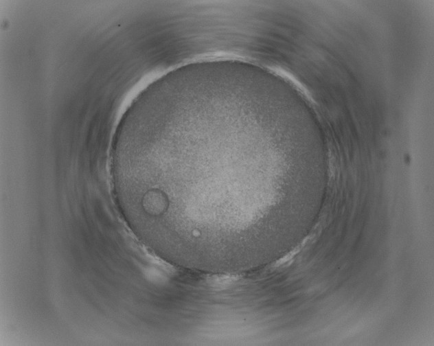 X0000074281278200609151843