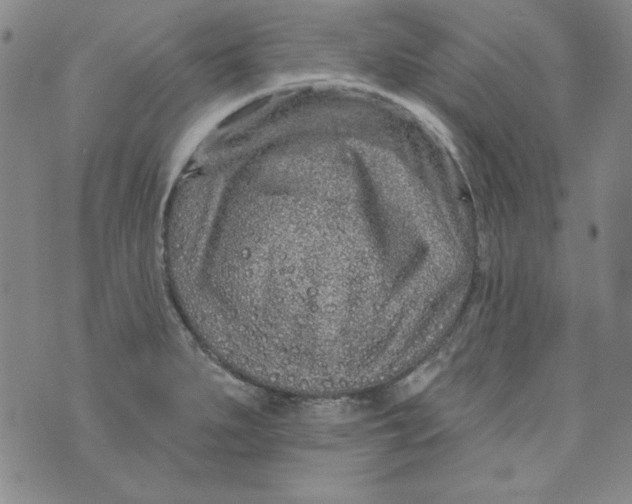 X0000074281279200609151843