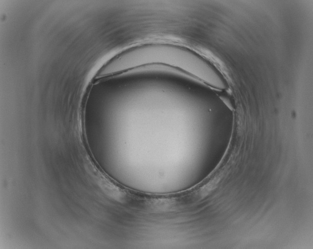 X0000074281280200609151843