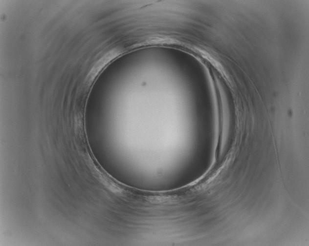 X0000074281281200609151843