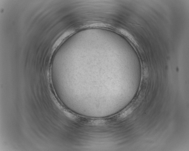 X0000074281282200609151843