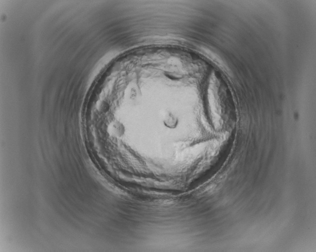 X0000074281283200609151842