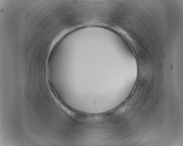 X0000074281286200609151842