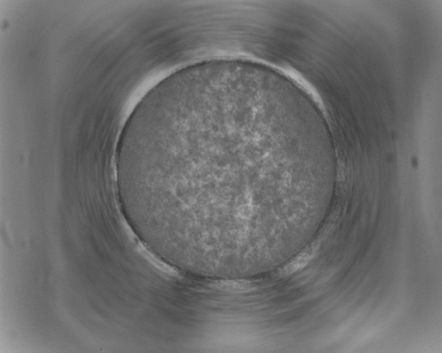 X0000074281287200609151842