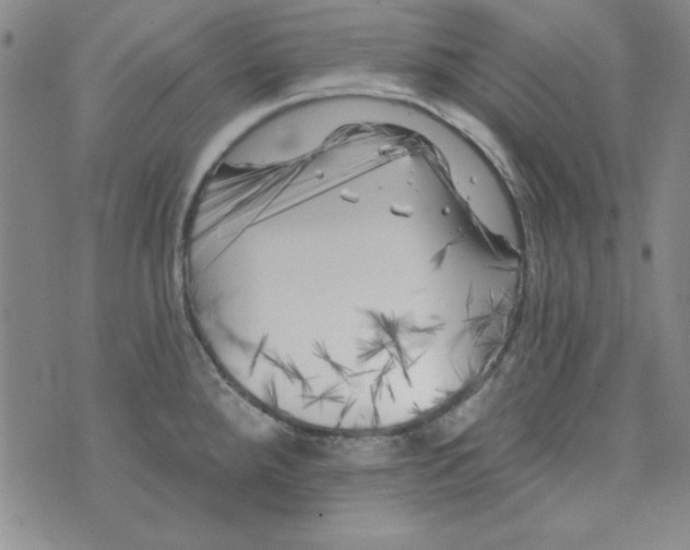 X0000074281288200609151842