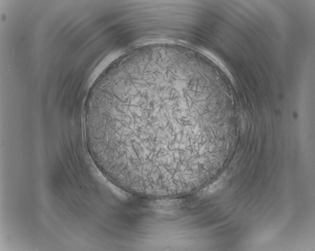 X0000074281290200609151842