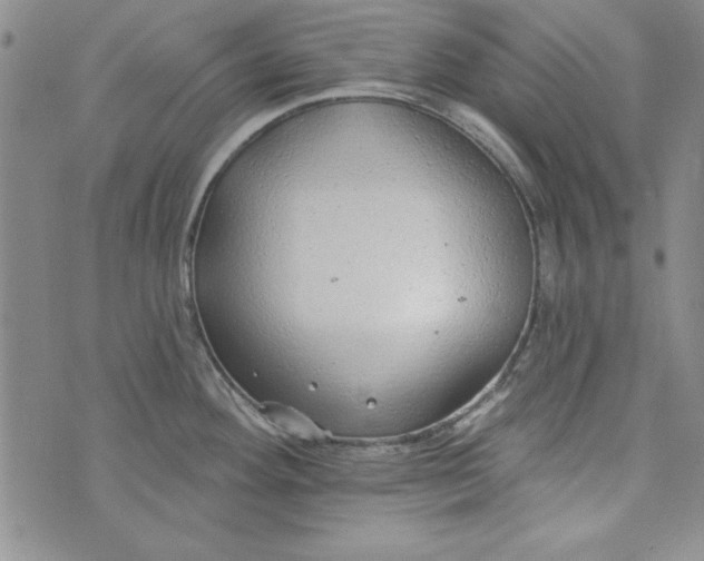 X0000074281292200609151842