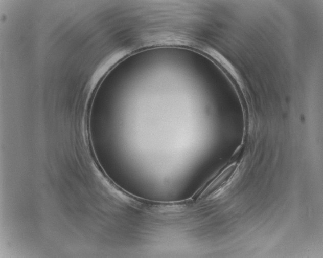 X0000074281293200609151842