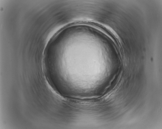 X0000074281295200609151842