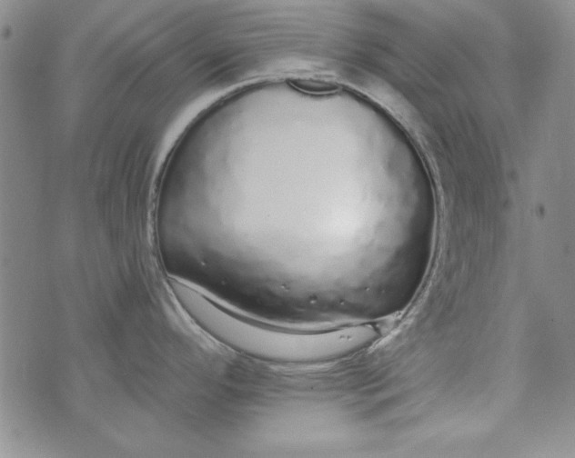 X0000074281296200609151842