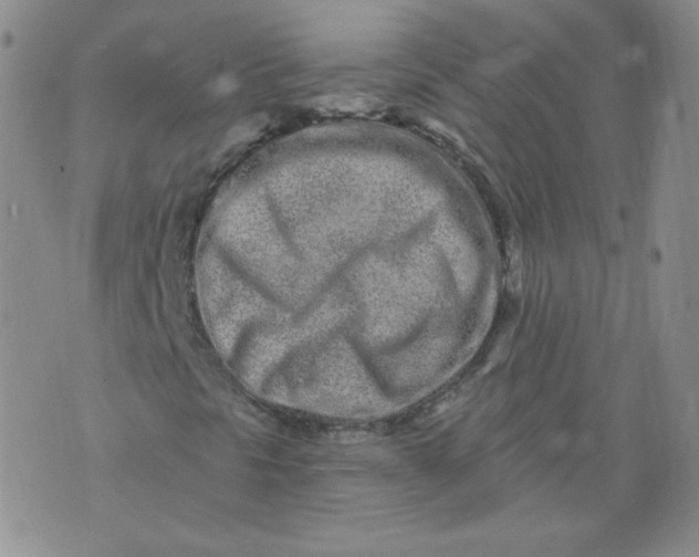 X0000074281297200609151842