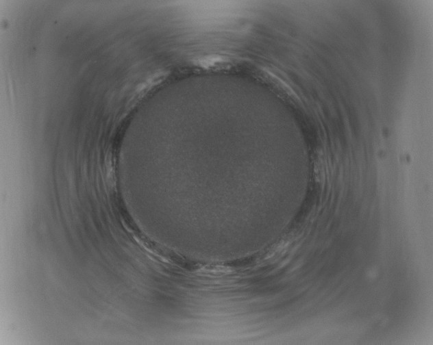 X0000074281298200609151842