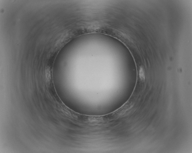 X0000074281299200609151842