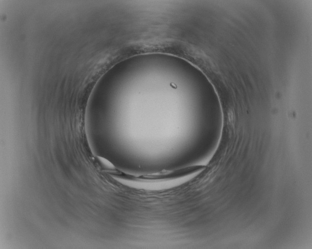 X0000074281300200609151842