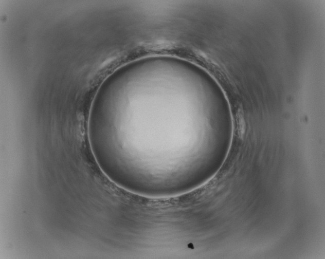 X0000074281301200609151842