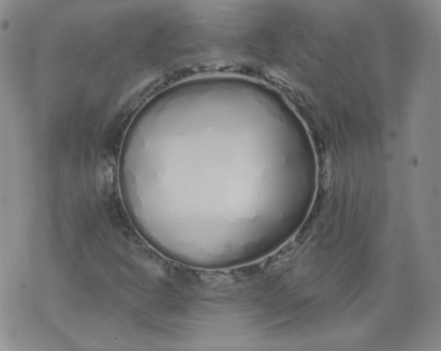 X0000074281302200609151842