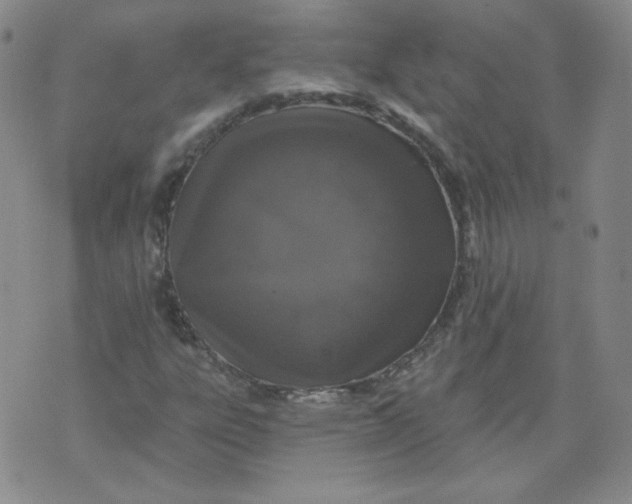 X0000074281303200609151842