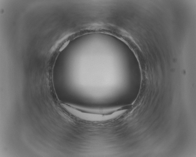 X0000074281304200609151842