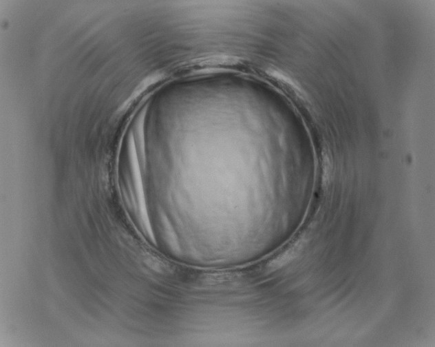 X0000074281305200609151842