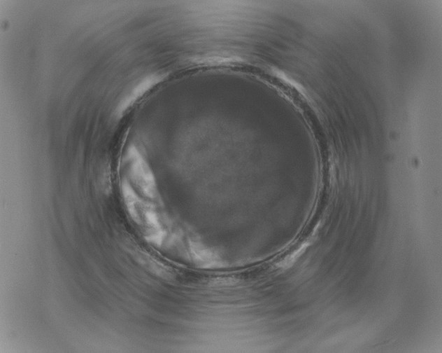 X0000074281306200609151842