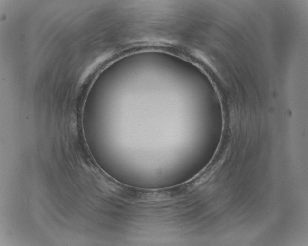 X0000074281307200609151842