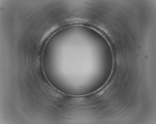 X0000074281309200609151842