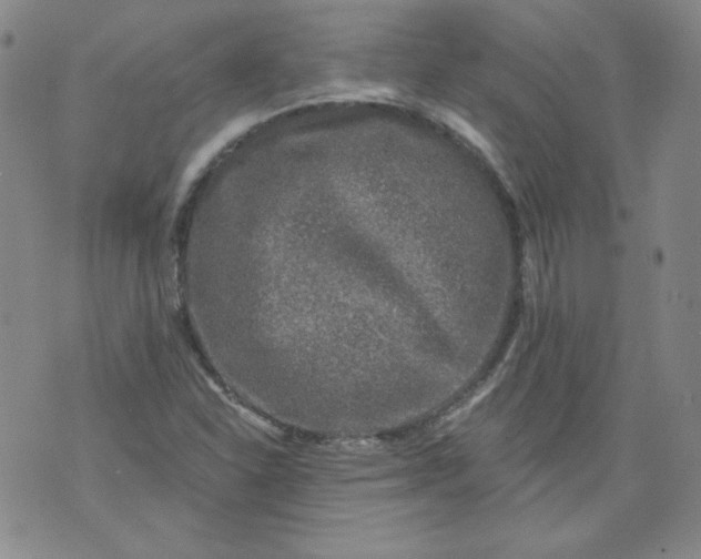 X0000074281310200609151842