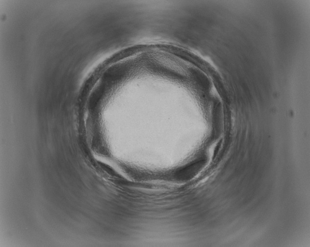 X0000074281311200609151842