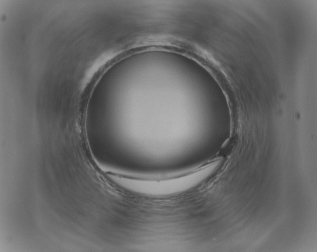 X0000074281312200609151842