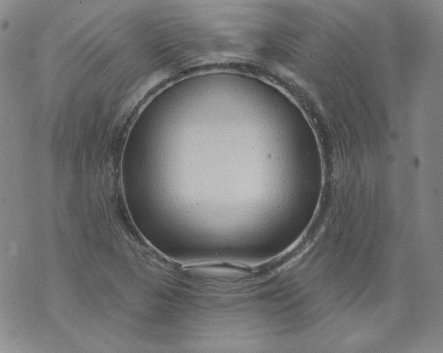 X0000074281313200609151842