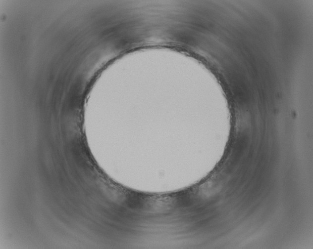 X0000074281314200609151842