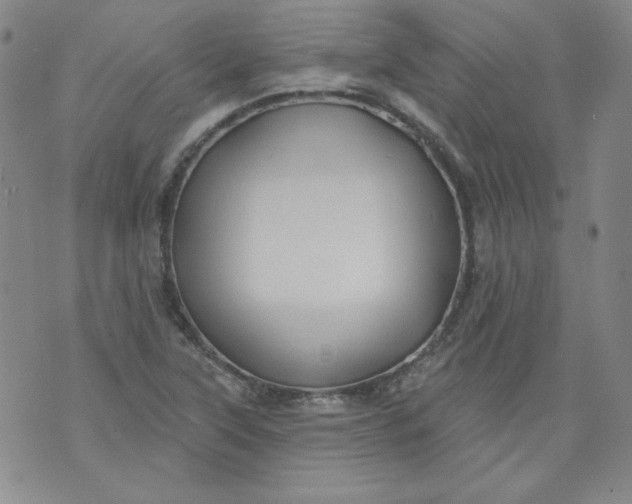 X0000074281315200609151842