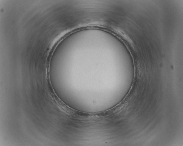 X0000074281316200609151842