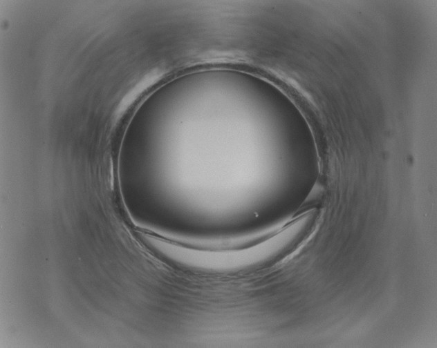 X0000074281317200609151842