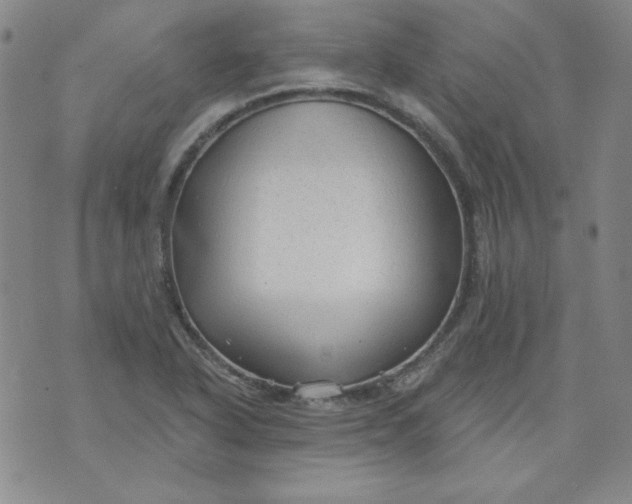 X0000074281318200609151842