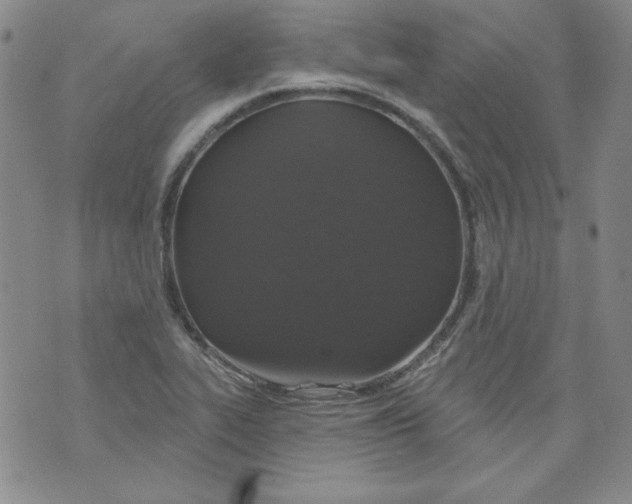 X0000074281319200609151842