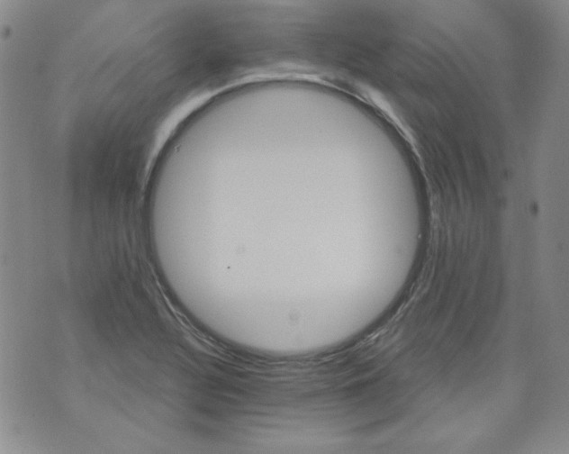 X0000074281320200609151842