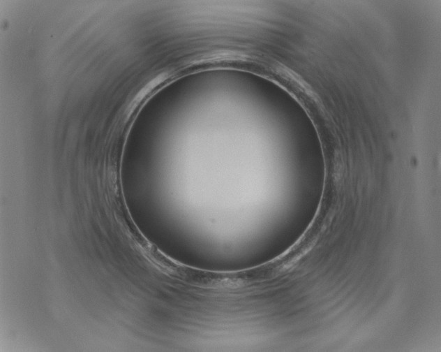 X0000074281321200609151842