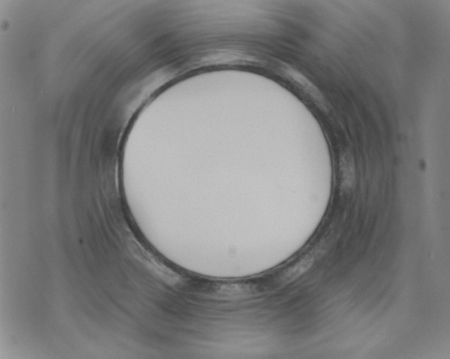 X0000074281322200609151842