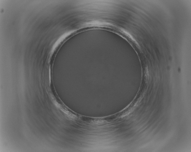 X0000074281323200609151842